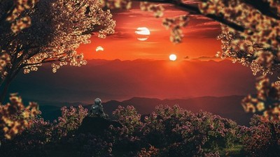 Digital Image Picture Photo Wallpaper Background Desktop Nature Art D4
