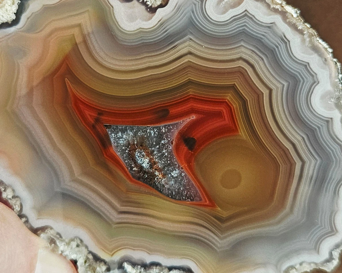 Laguna Agate for sale | eBay