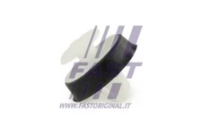 FT96309 FAST Clip, Trim/Protection Strip for, Nissan, Opel, Renault