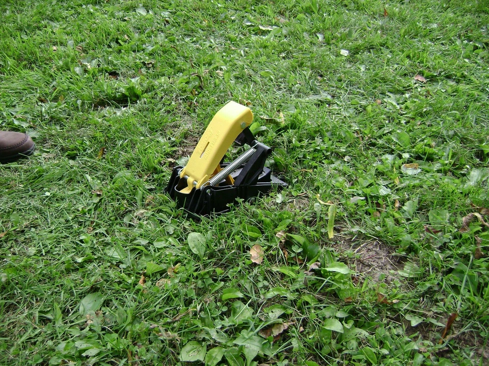 Trampa para topos Tomcat - 1 trampa Foto 4 de 4