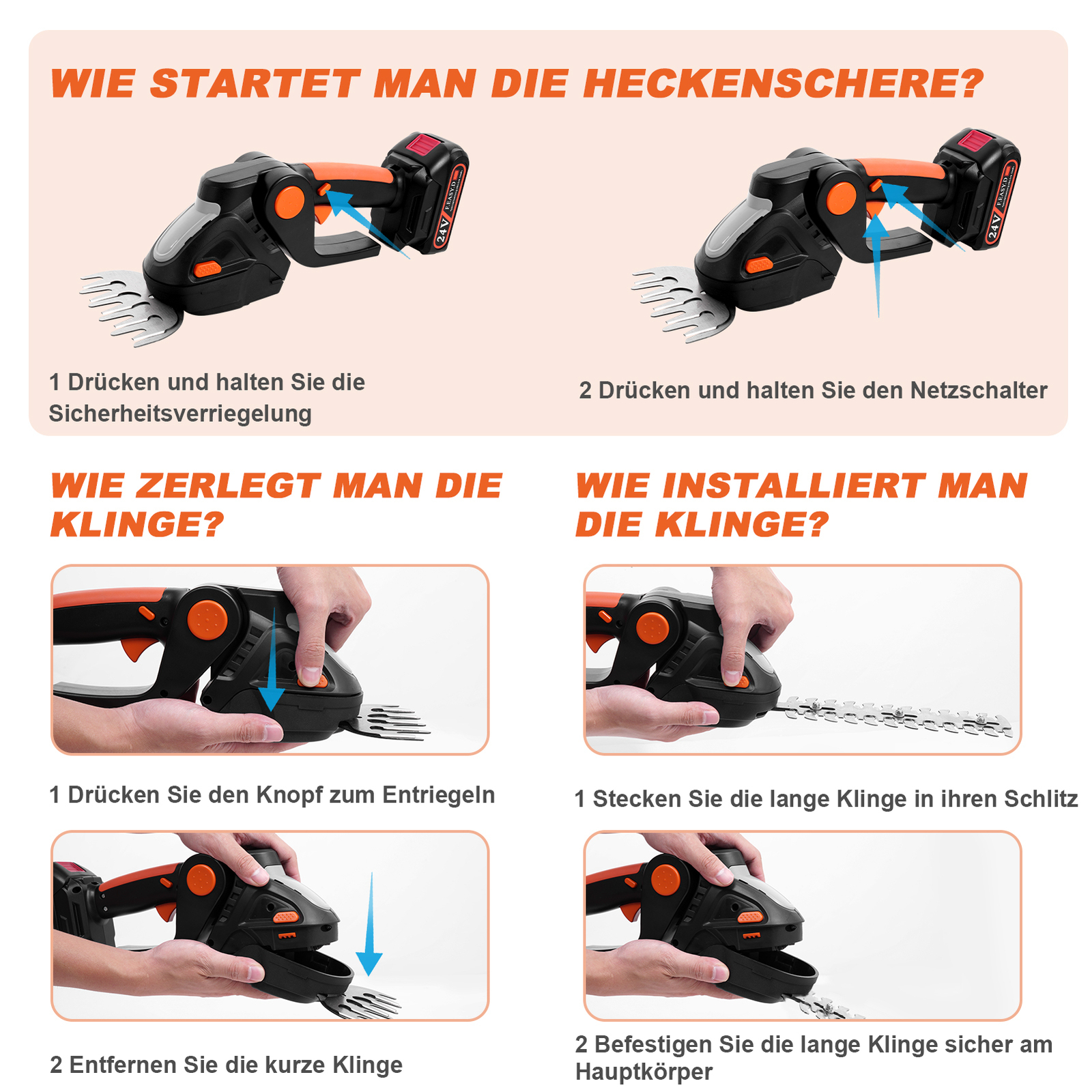 Bild 4 von 12