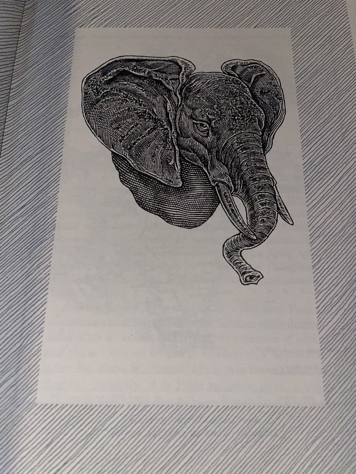 Picture 7 of 11