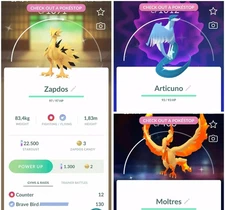 Shiny Galarian Moltres Zapdos Articuno PTCs Read Description