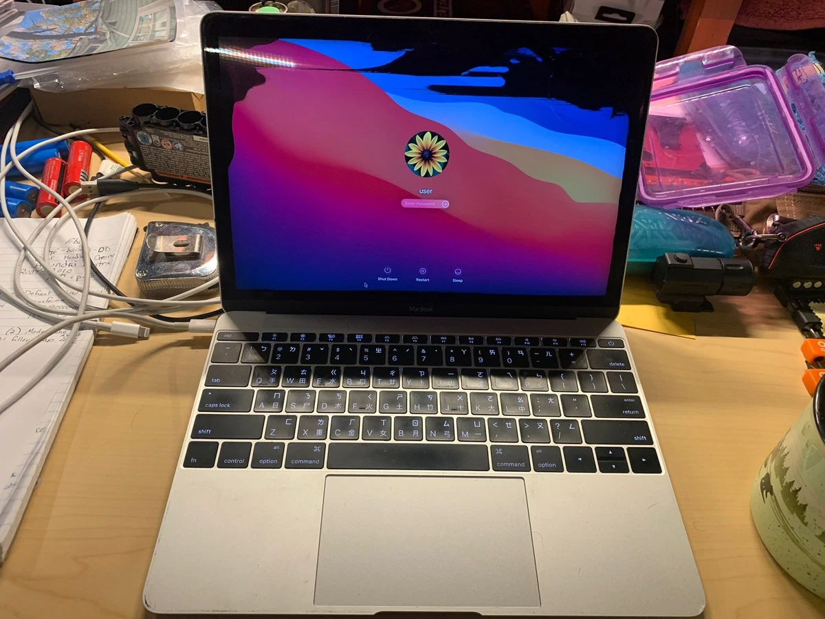 2015 Apple MacBook 12 Inch Laptops for sale | eBay