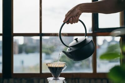 新品 BALMUDA Moon Kettle KPT02JP-BK BALMUDA MoonKettle Electric Kettle with Temperature Control BLACK