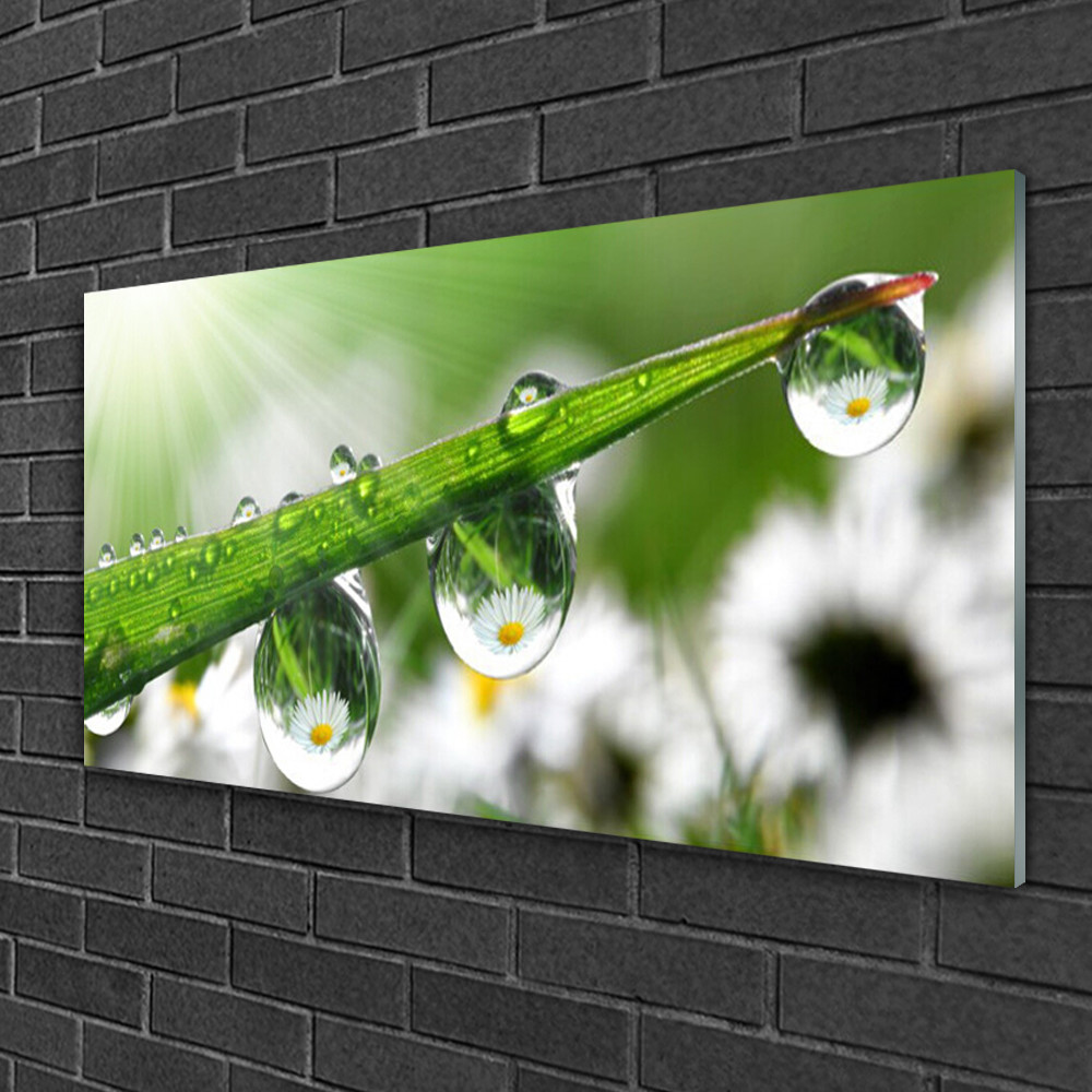 Tableau sur verre horizontal 100x50 Nature Rosée - Impression murale verte