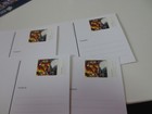 Bild 9 von 12
