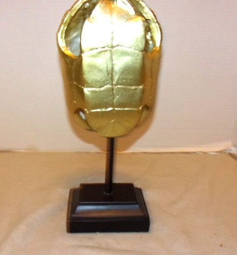 Gilt Tortoise Shell on a Walnut Wood Display Stand - Picture 3 of 9
