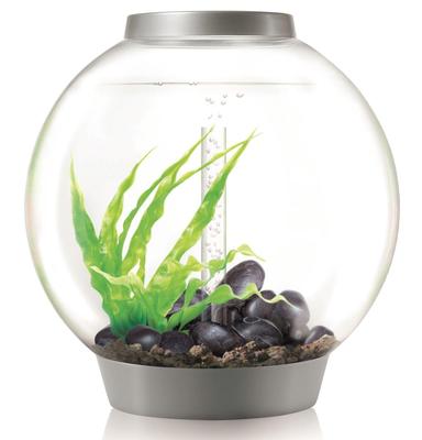 biOrb Nano-Aquarium Komplett-Set CLASSIC 60 LED Thermo silber
