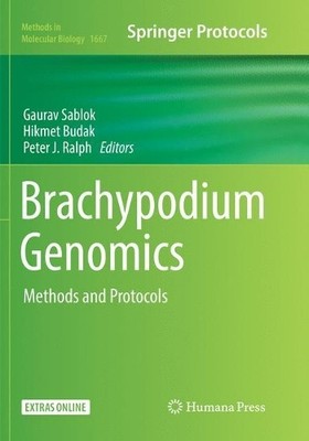 Brachypodium Genomics - 9781493984398