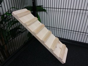 guinea pig ramp