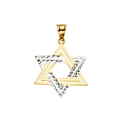 14K Two Tone Gold Star of David Pendant for Chain