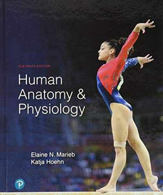 #ad Human Anatomy amp; Physiology Hardcover by Marieb Elaine; Hoehn Very Good z $114.62