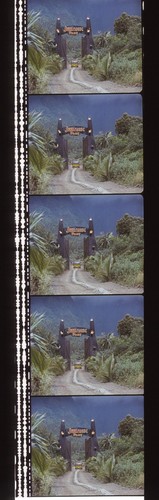 Jurassic Park 35mm Film Cell strip very Rare var_a - Picture 121 of 132