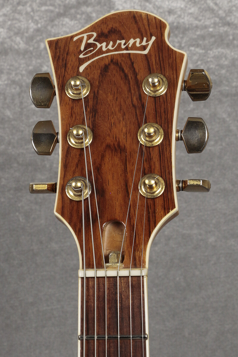 FERNANDES BURNY MG-165S Cherry Sunburst hide Model | eBay
