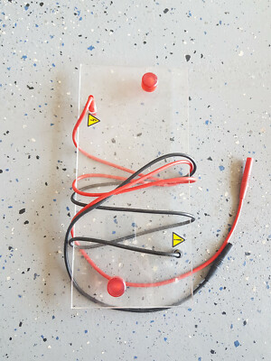 Bio-Rad Transblot Electrophoresis Lid