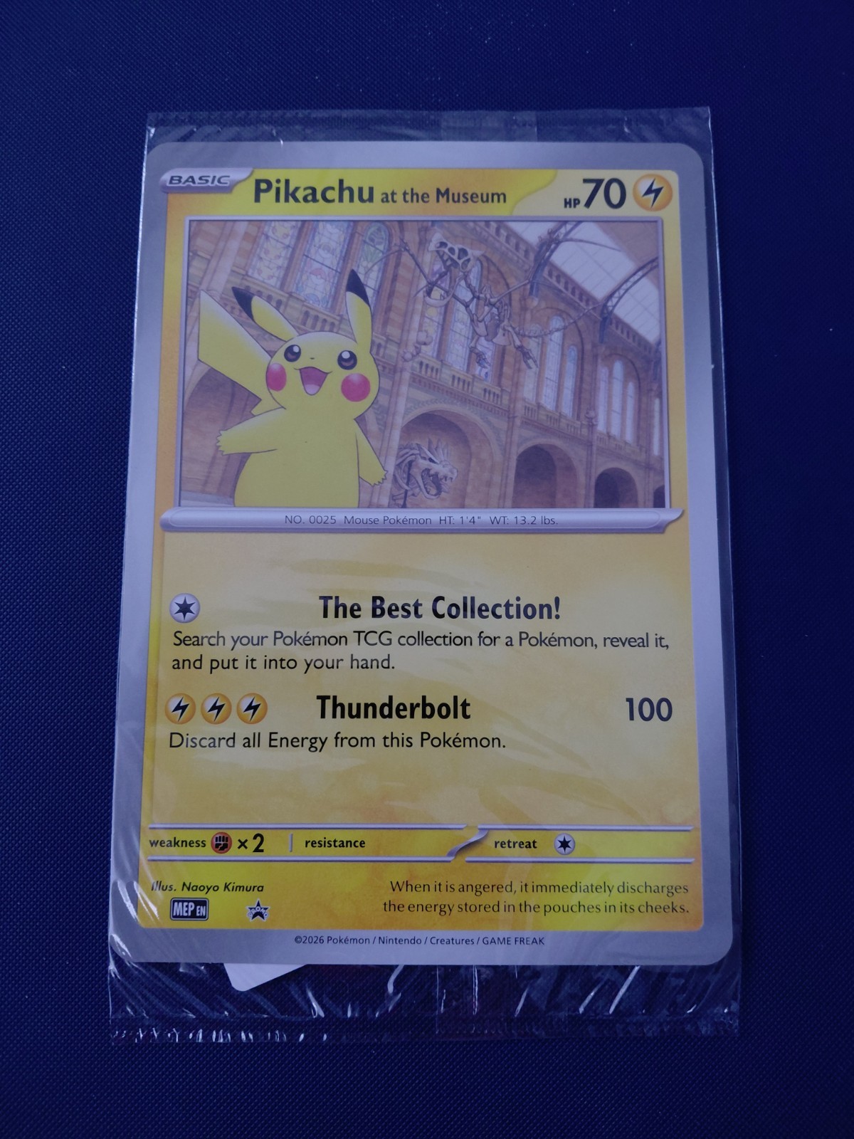 Pikachu At The Museum Sealed!