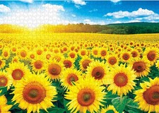 Sunflower Field 6   1000-Piece Jigsaw Puzzle