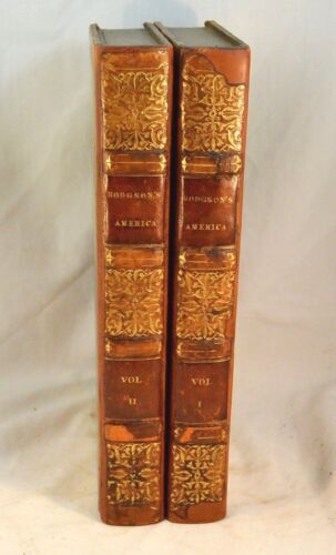 洋書 Jeffrey Whiting's Owls of North America Jeffrey Whiting's Owls of North America #QYJBW0 | eBay