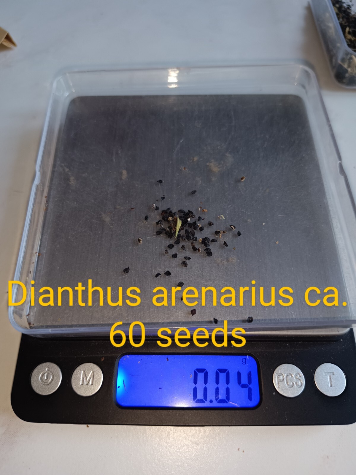 Foto 2 di 16