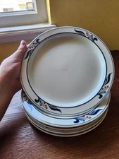 5 Dansk Bistro 8.75" Salad Plates Japan Scandanavian Red Berries Blue Rim 