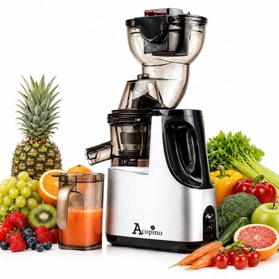 Slow Juicer Kaltpress-Entsafter mit Pressschnecke Acopino Delicato silber