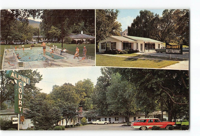 Hot Springs North Carolina NC Vintage Postcard Alpine Court Motel & Restaurant