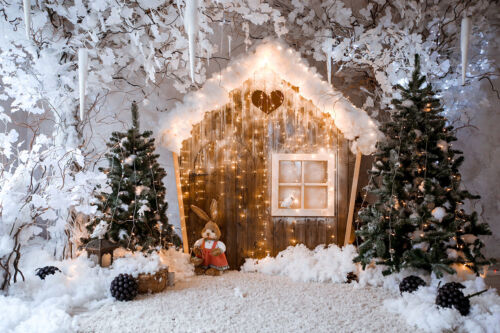 7 x 5 pieds cabane de Noël jouet lapin toile de fond enfants studio de photographie - Photo 1/11