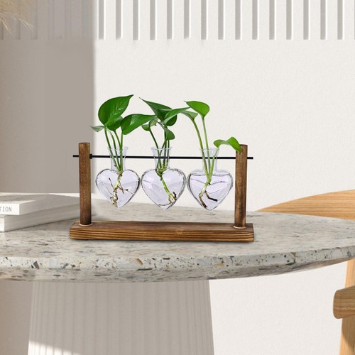 Plant Terrarium Propagation Station for Women Space Saving Versatile 30x16cm - Picture 4 of 7