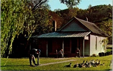 Vintage Jack Daniel's Old Office Lynchburg Tennessee Postcard