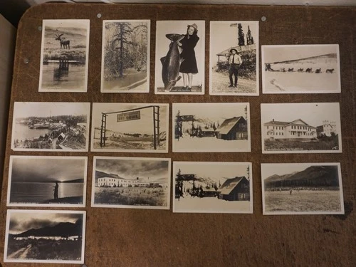 14 different RPPC VINTAGE WW II ERA 1940's Scenes in ALASKA. Postcard REAL PHOTO