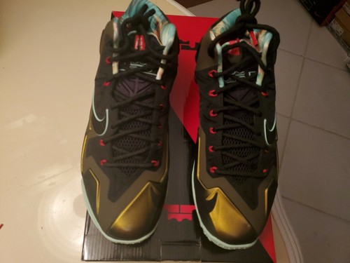 nike lebron xi kings pride