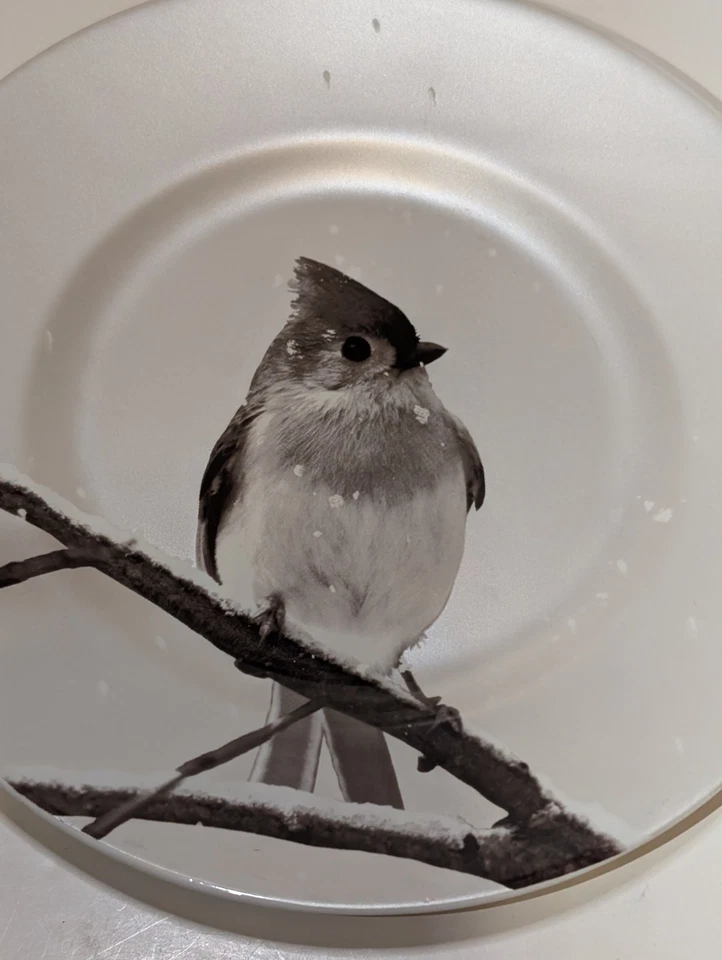 PIER 1 Importaciones Plato Decorativo Plato Pájaro Mechón Titmouse Nieve 8.5" Porcelana Foto 2 de 4