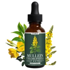 ETHALE Mullein Drops for Lungs - Mullein + Chlorophyll Lung Drops, Respirator...