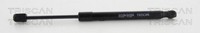 Triscan Gasfeder Motorhaube 8710 18102 FüR KIA Carnival 3 VQ Crdi