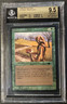Citanul Druid - Antiquities - BGS 9.5+ MTG - 10SUB! POP 24 - ( 10 / 9.5 /9.5 /9)