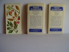 JOB LOT X 33 OF 50 TREES IN BRITAIN BROOKE BOND TEA CARDS SEE ITEM DESCRIPTION