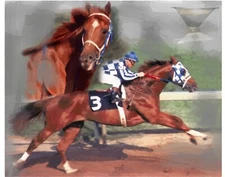 Secretariat Triple Crown 16 x 20 Pirnts  Wall  Art Prints