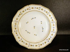 ANTIQUE RARE  9" DINNER PLATE ~CHANTILLY SPRIG  by BLOOR  DERBY  (1825-1848)