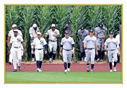 Aaron Judge MLB Photos