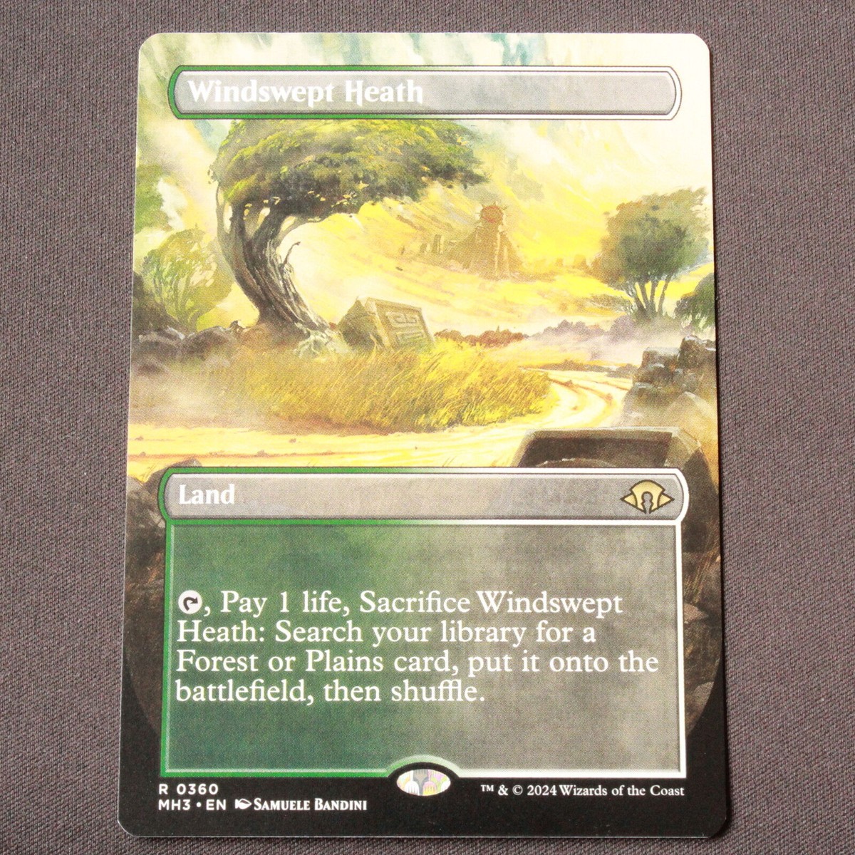 Windswept Heath (Borderless) 360 MTG Modern Horizons 3 (MH3) Rare NM