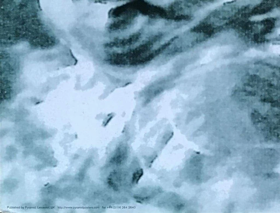 Rage Against The Machine Burning Monk Vintage Poster 24 x 34 - Image 3 of 3