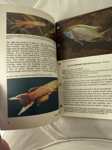 Tropical Fish Hobbyist Magazine Mai 1980 Killifishes Ghost Shrimp Goldfish Newt - Bild 3 von 7