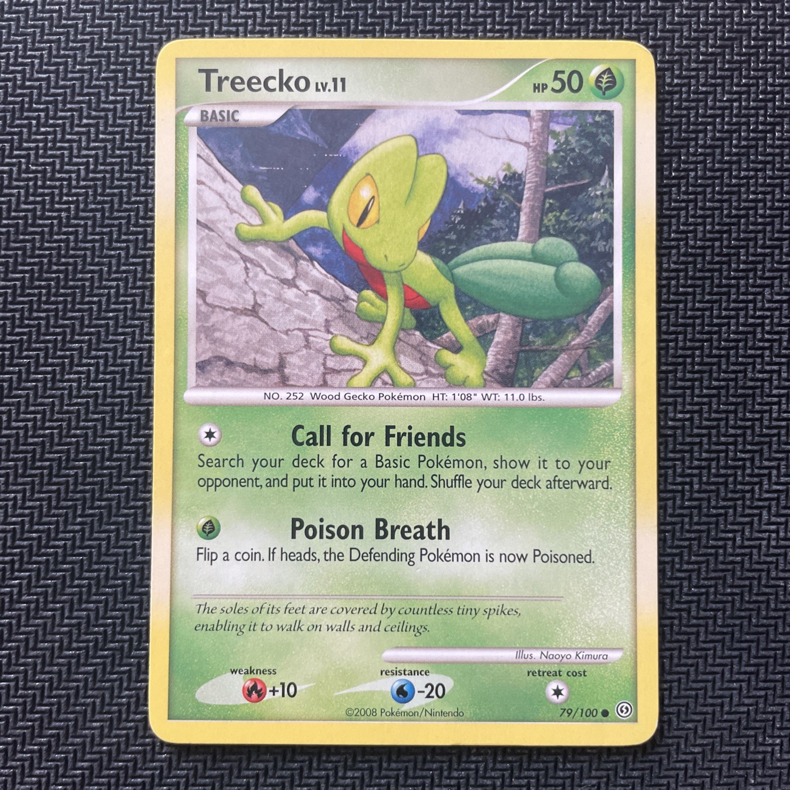 Treecko 79/100 Pokemon Stormfront Common 2008 LP