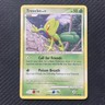 Treecko 79/100 Pokemon Stormfront Common 2008 LP