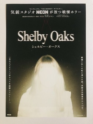 Shelby Eichen 2024 Camille Sullivan Brendan Sexton III Film Flyer B5 Poster