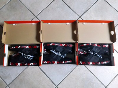 van halen nike dunks