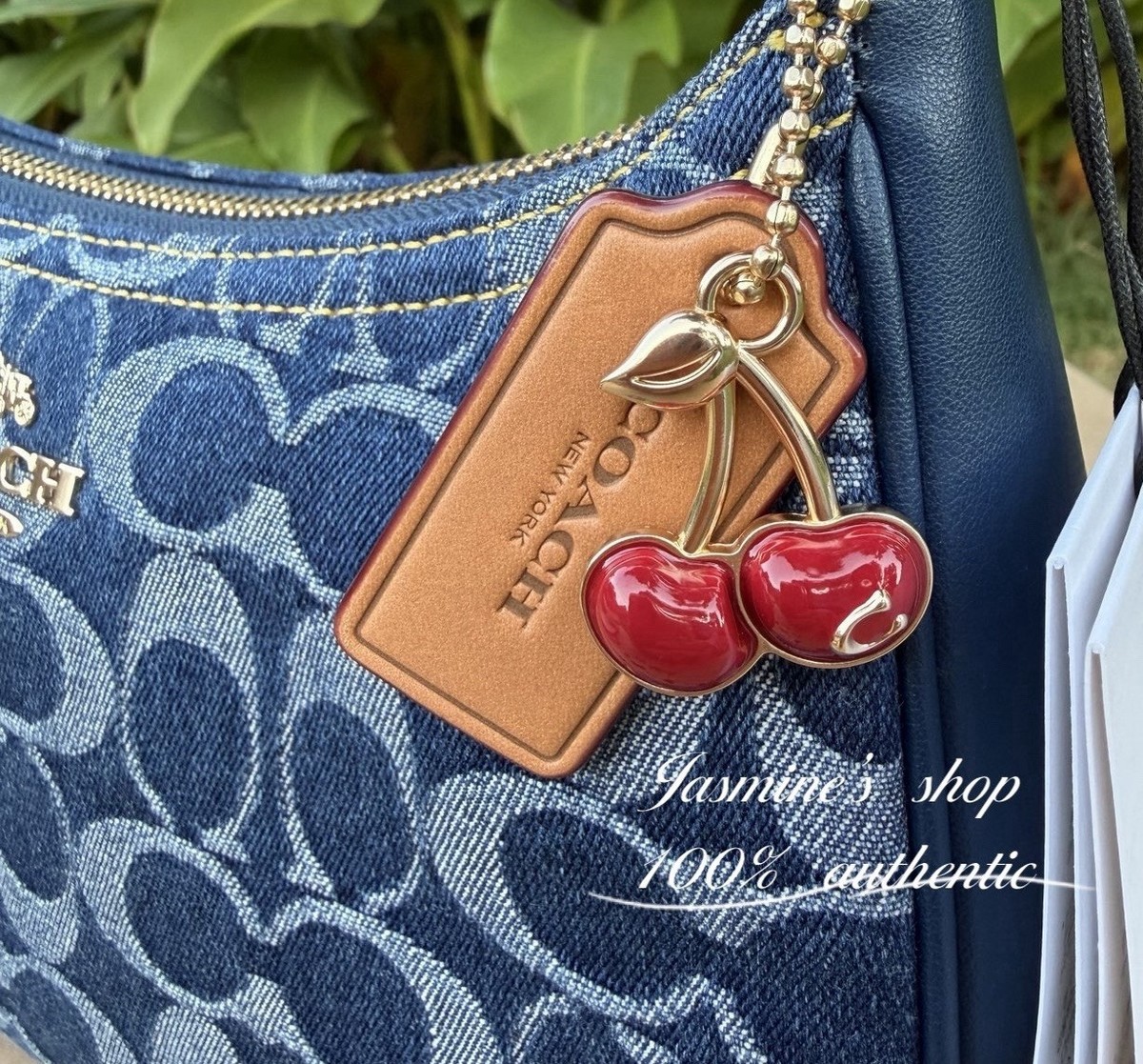 NWT Coach Teri Shoulder Bag In Signature Denim CAF82 | eBay