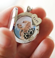 Dog Loss Keepsake for Fur or Ashes, Pet Hair Memorial Locket, Dog Hair Memorial