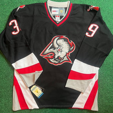 Dominik Hasek Cards, Rookie Cards and Autographed Memorabilia Guide 4